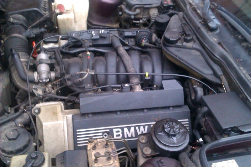 IMAG0055.jpg