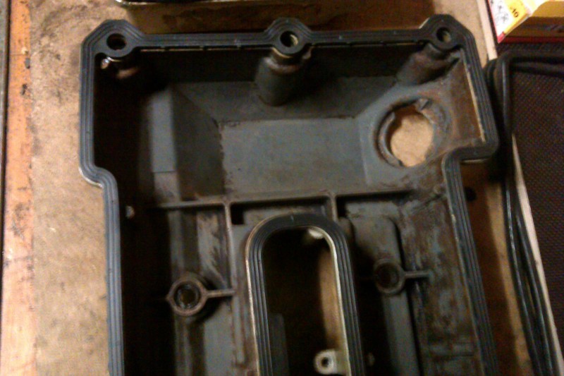 IMAG0066.jpg