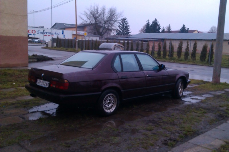 IMAG0074.jpg