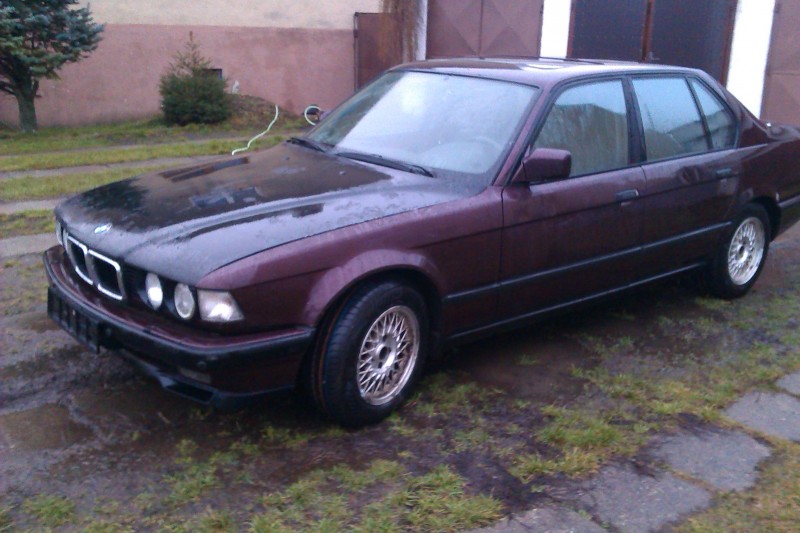 IMAG0081.jpg