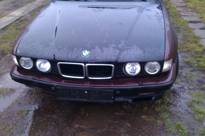 IMAG0084.jpg
