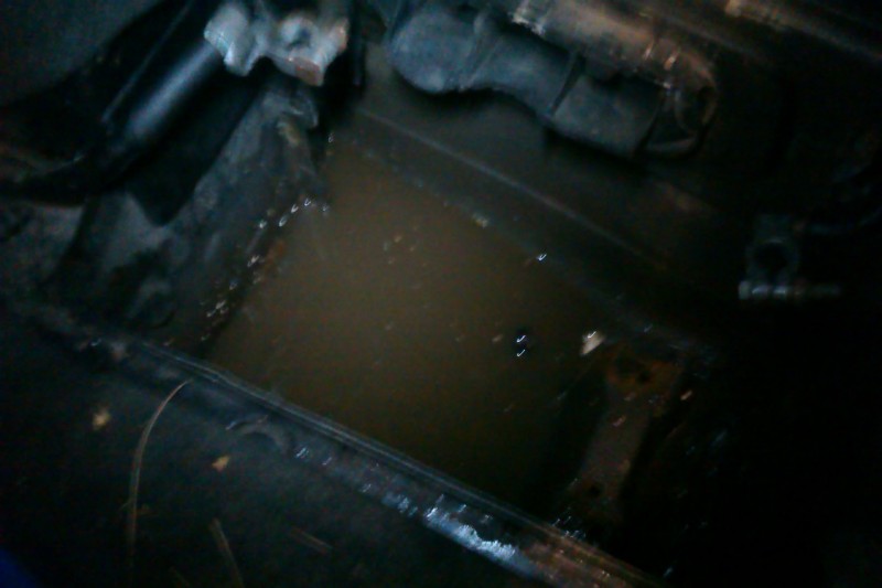 IMAG0155.jpg