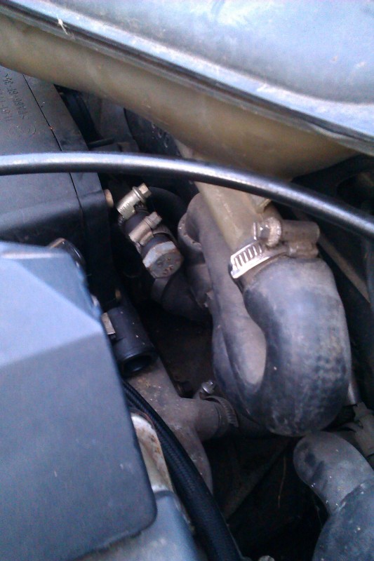 IMAG0118.jpg