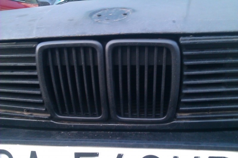 IMAG0160.jpg