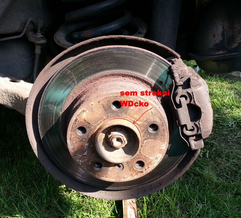 20130929_120458.jpg