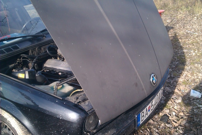 IMAG0212.jpg