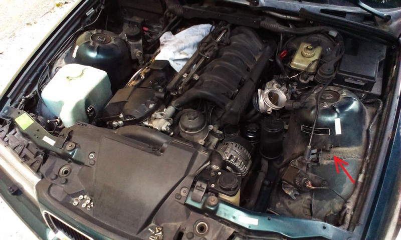 IMAG0731.jpg