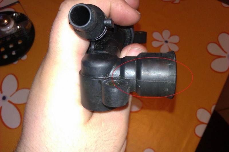 IMAG0733.jpg