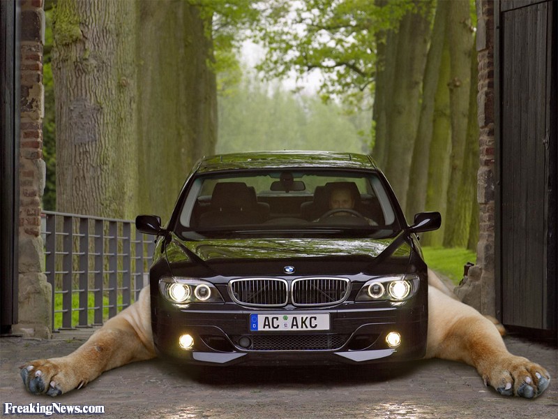 BMW-with-Legs--35099.jpg