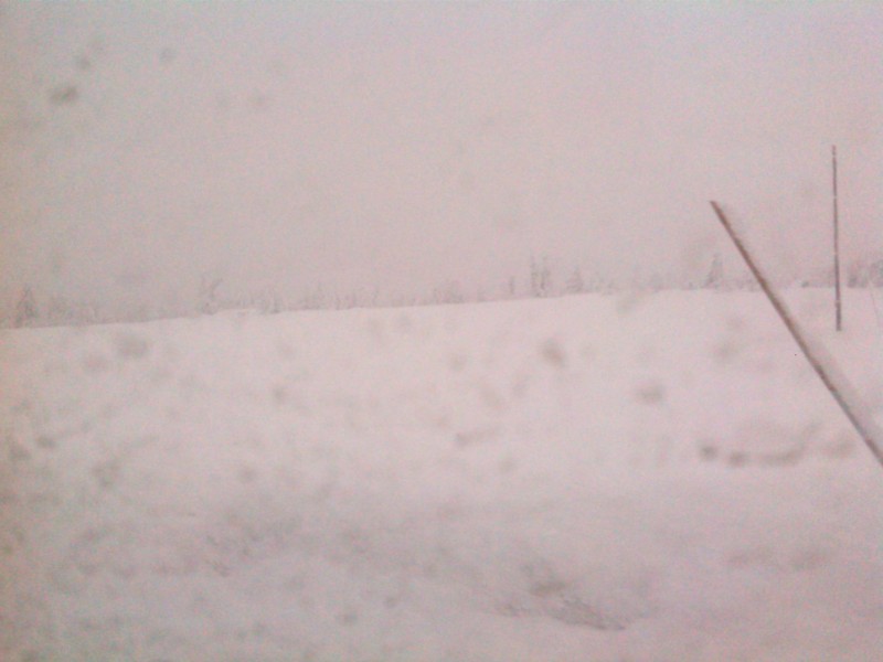 IMG_20140301_163310.jpg
