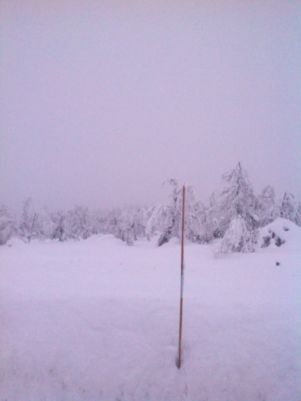 IMG_20140301_163326.jpg
