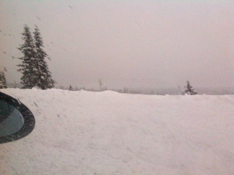 IMG_20140301_163603.jpg