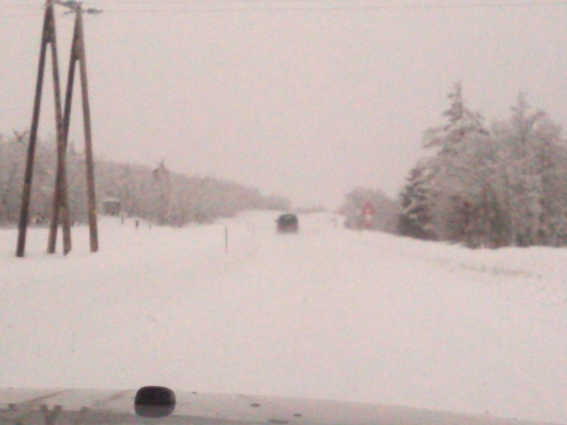 IMG_20140301_163616.jpg