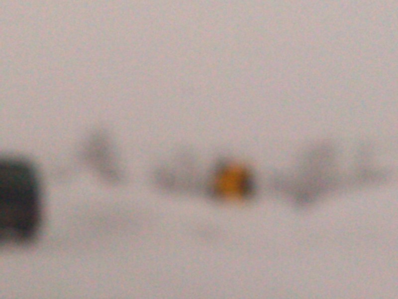 IMG_20140301_163633.jpg