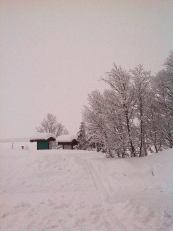 IMG_20140301_163715.jpg