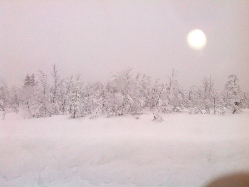 IMG_20140301_163825.jpg