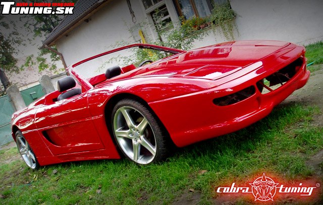 fiero 2.jpg