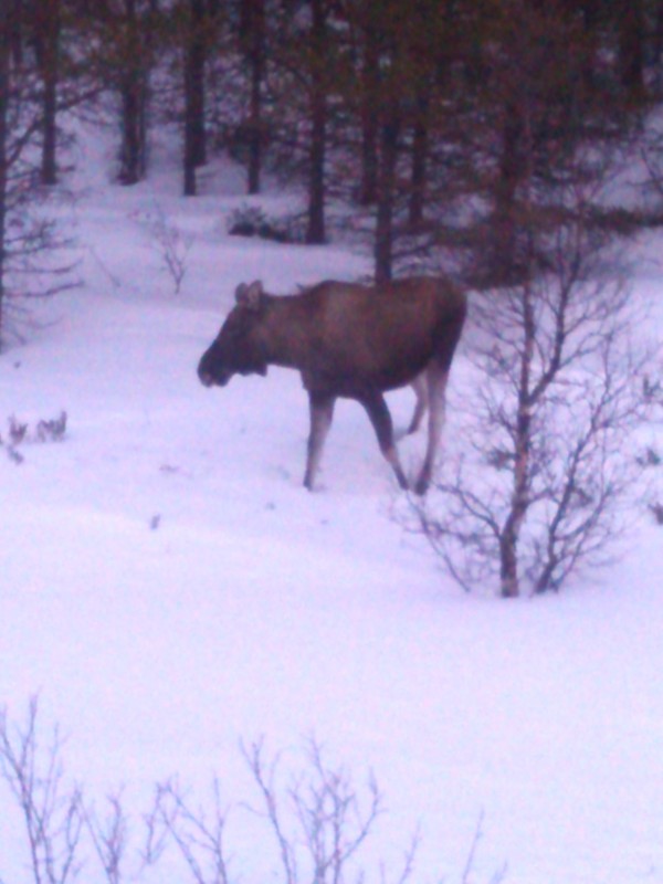 IMG_20140301_174839.jpg