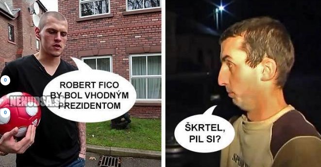 nenudsa.jpg