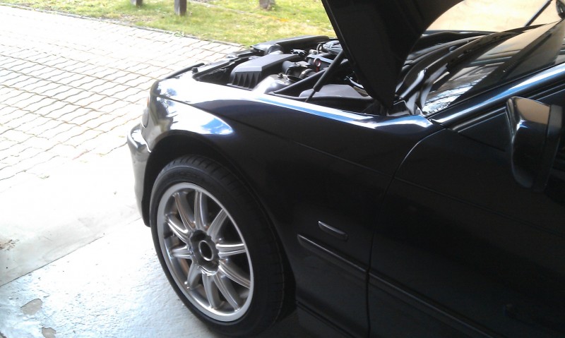 IMAG0609.jpg