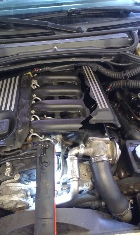 IMAG0491.jpg