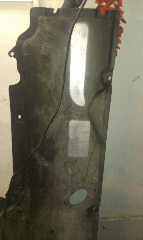 IMAG0205.jpg