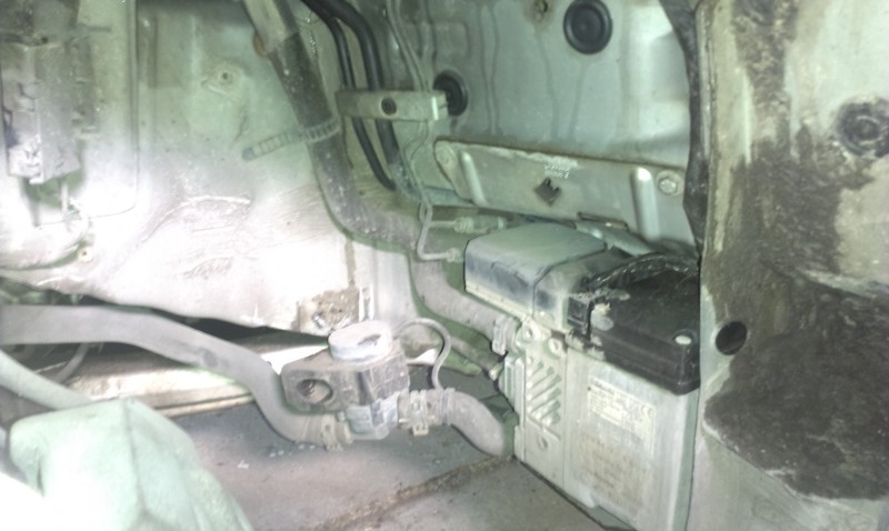 IMAG0178.jpg