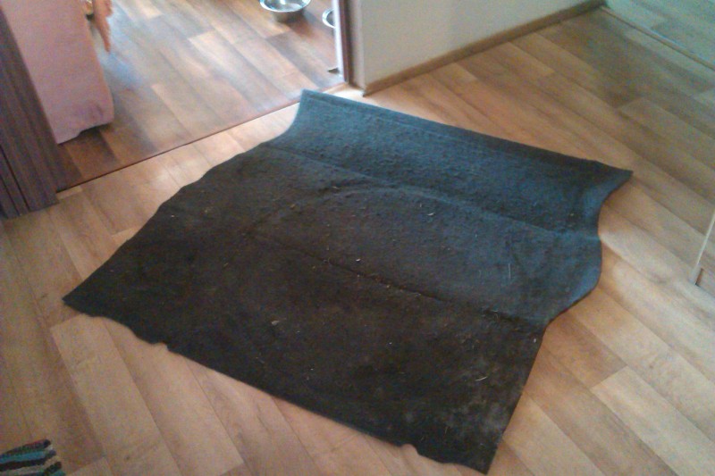 IMAG0277.jpg