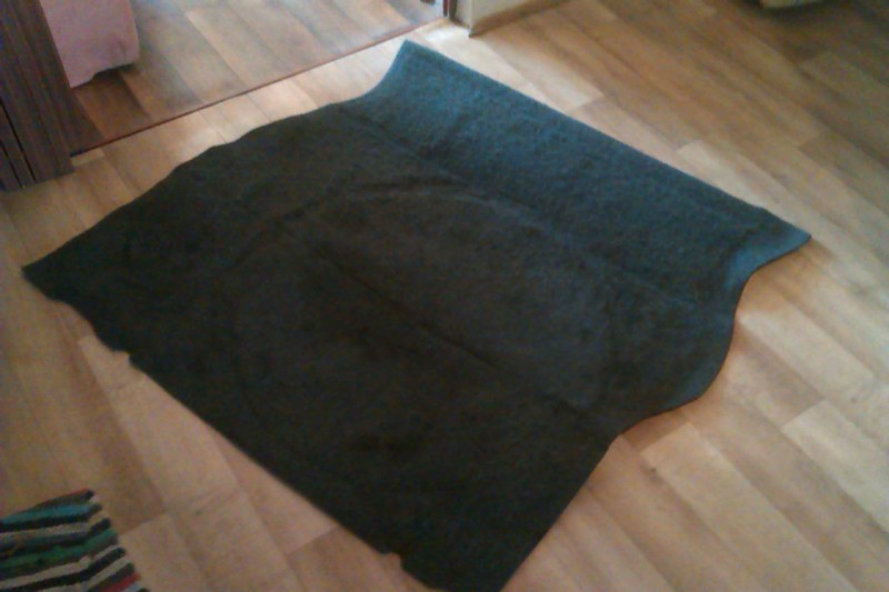 IMAG0278.jpg