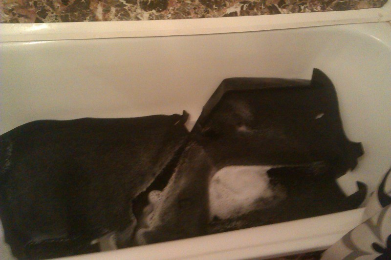 IMAG0279.jpg