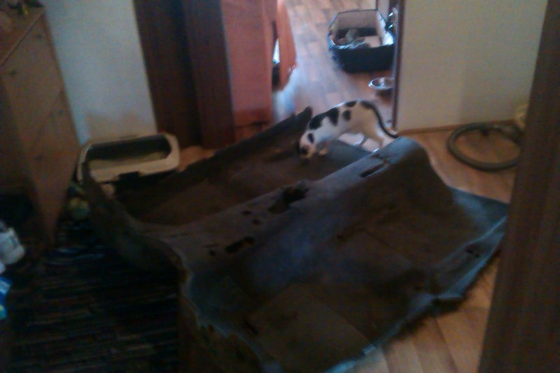 IMAG0281.jpg