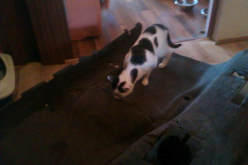 IMAG0282.jpg