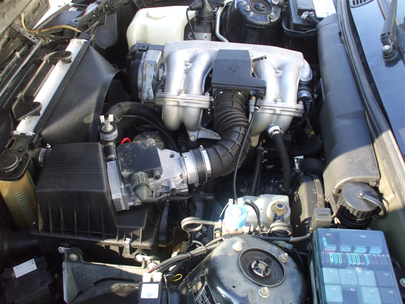 DSCF3501.jpg