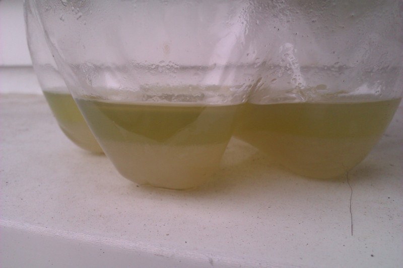 IMAG0683.jpg