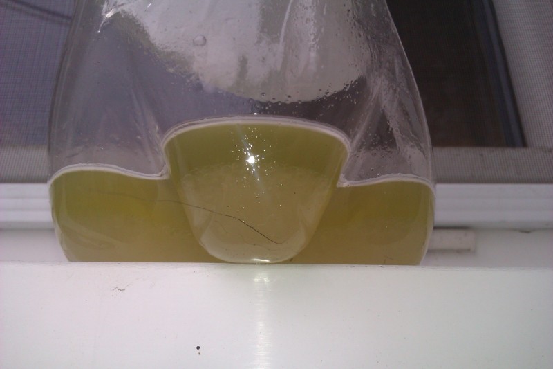 IMAG0685.jpg