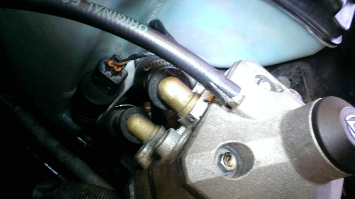 IMAG0112.jpg