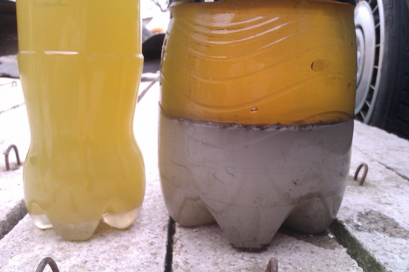 IMAG0696.jpg
