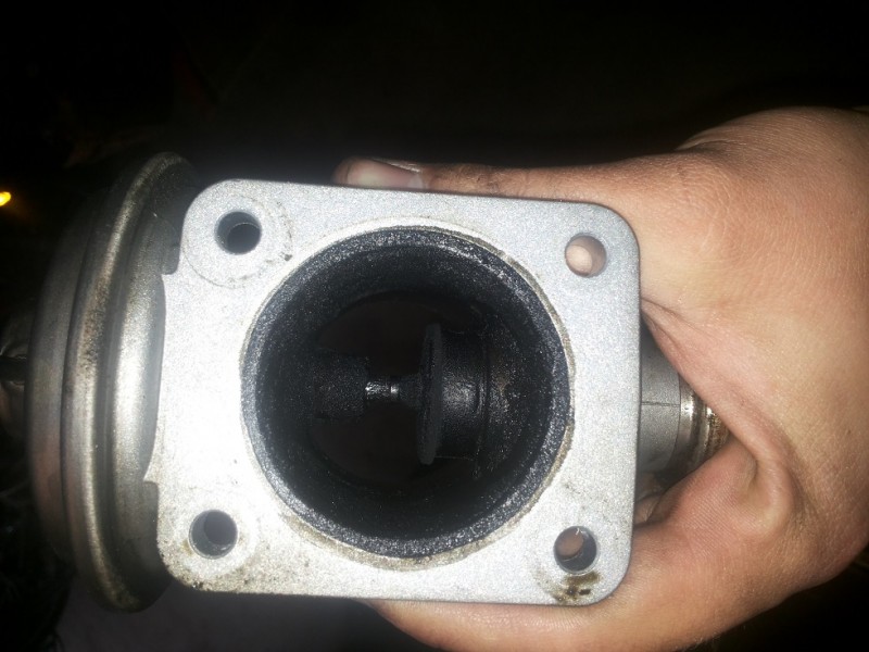 20140323_142145.jpg