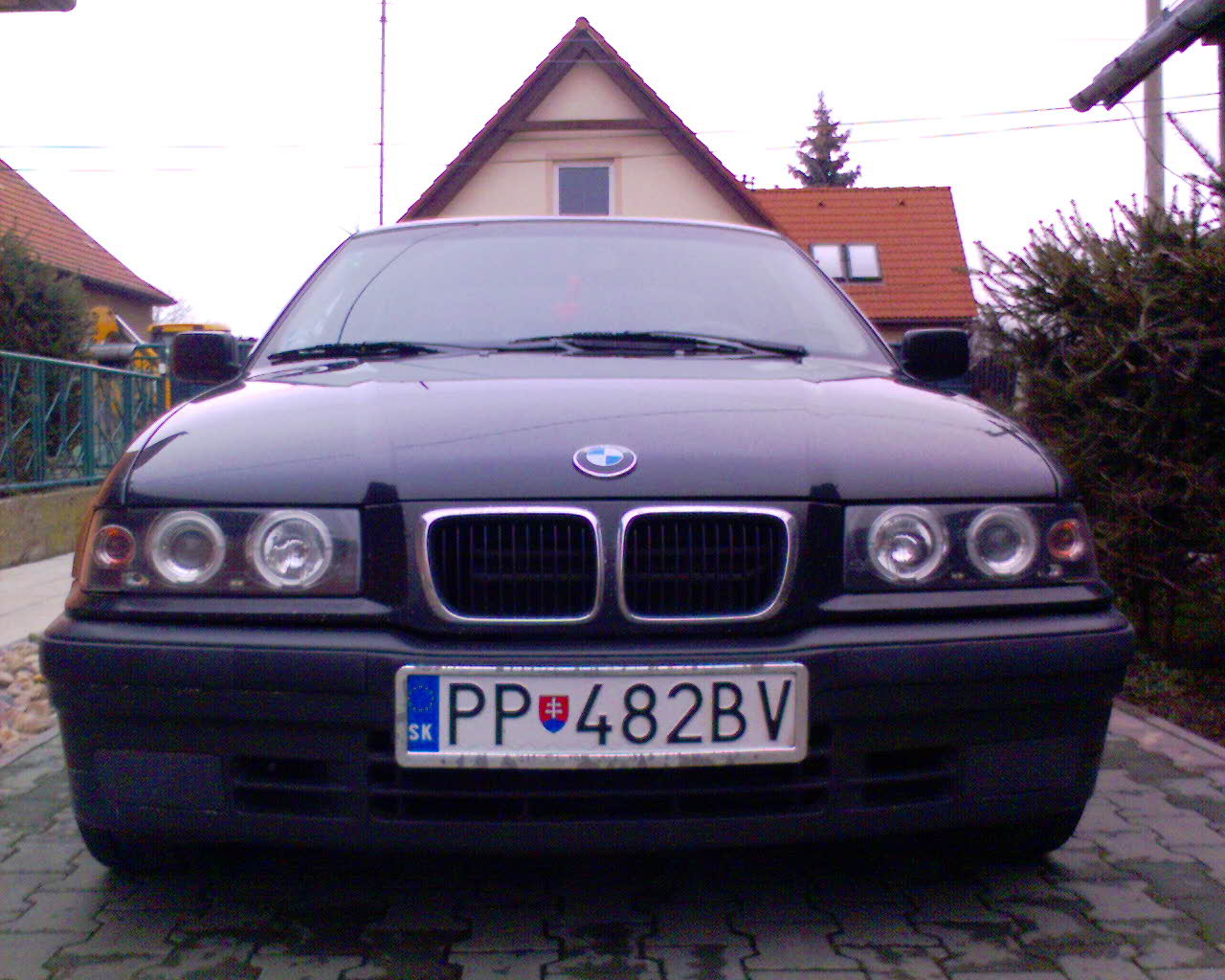DSC00050.jpg