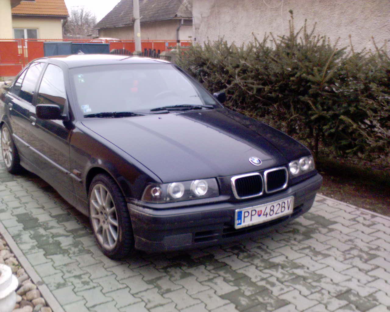 DSC00049.jpg