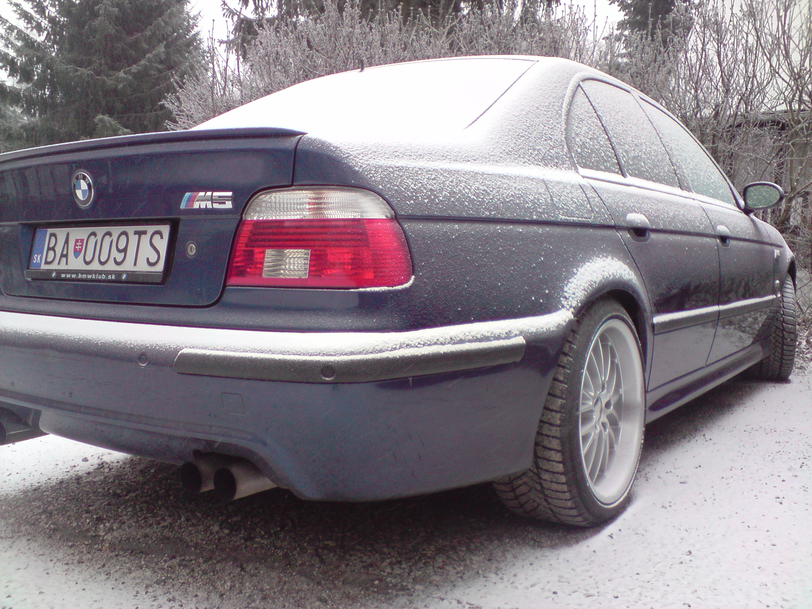 P010109_11.24.JPG