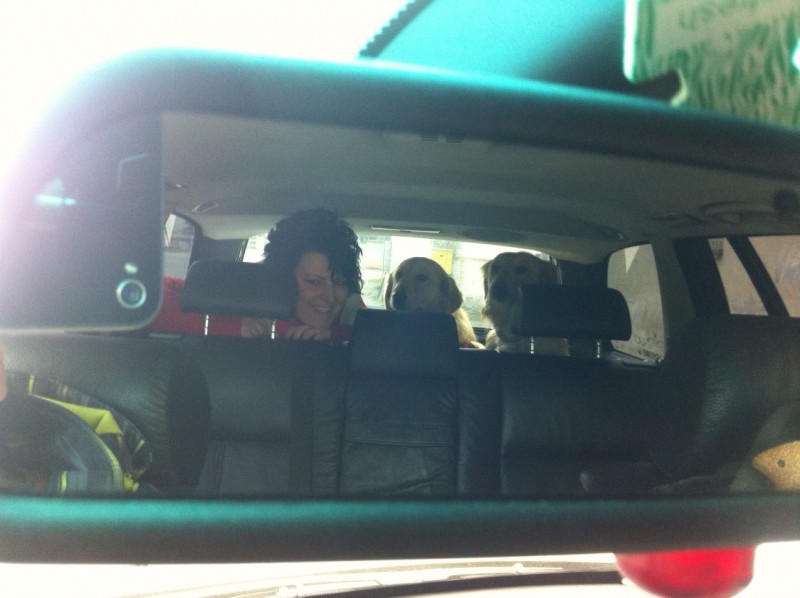 photo.JPG