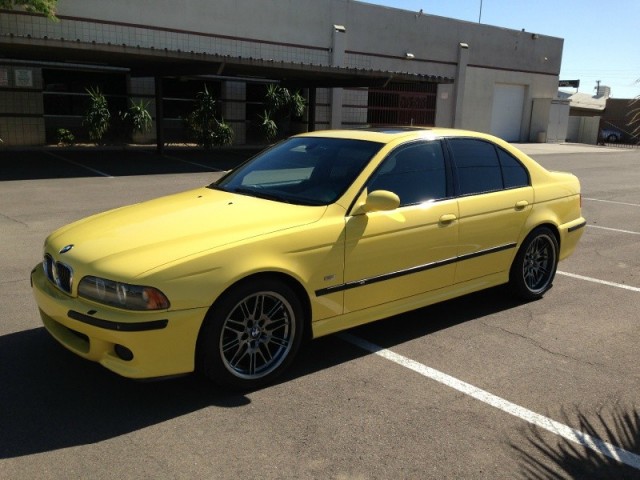 267 DAKKAR YELLOW.jpg