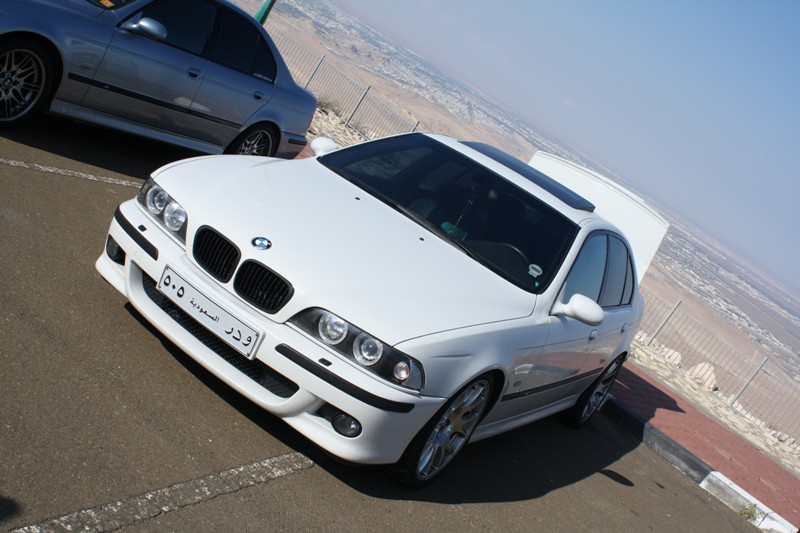 300 ALPINE WEISS III..jpg