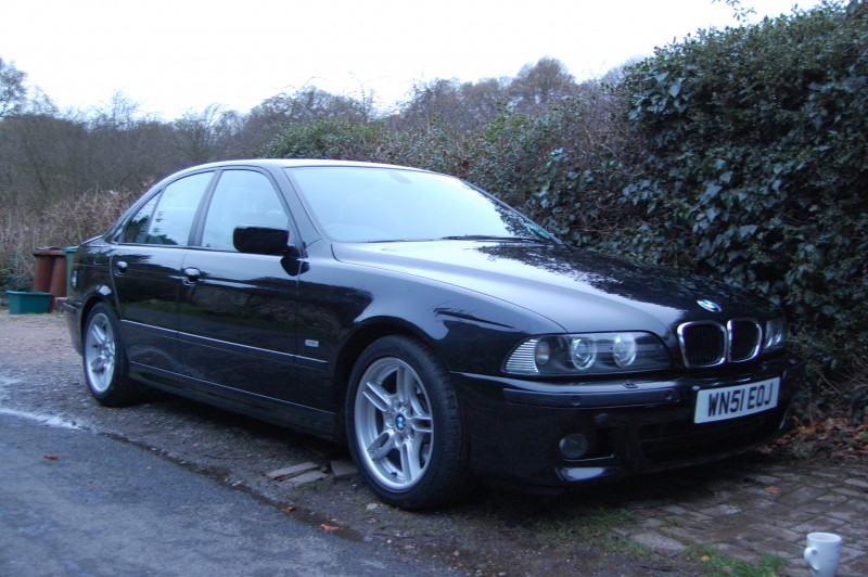 303 COSSMOS BLACK.jpg