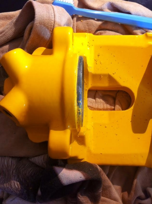 yelo.jpg