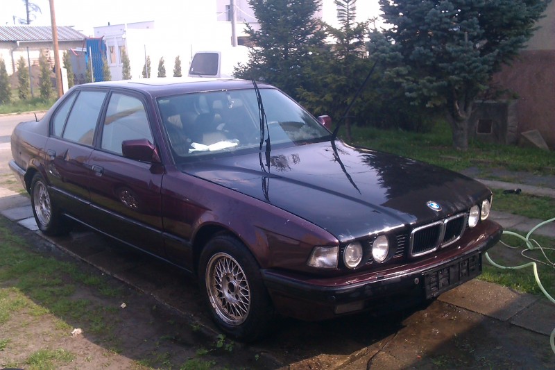 IMAG0245.jpg