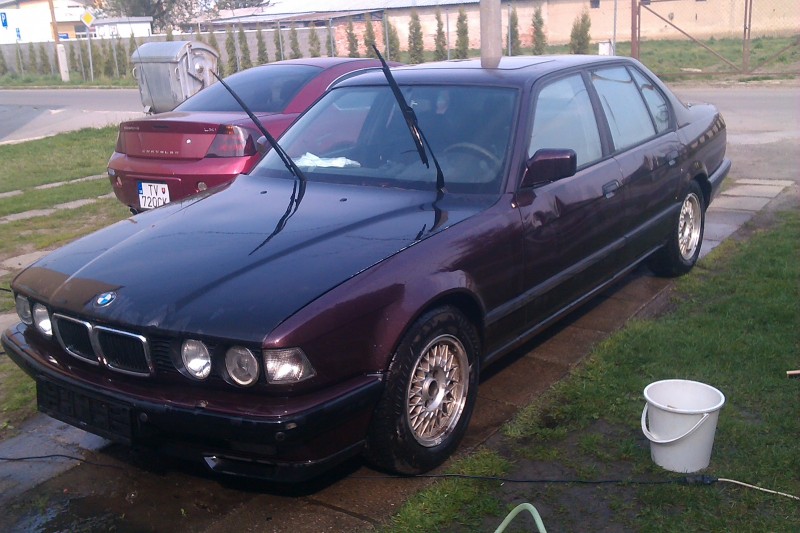 IMAG0246.jpg