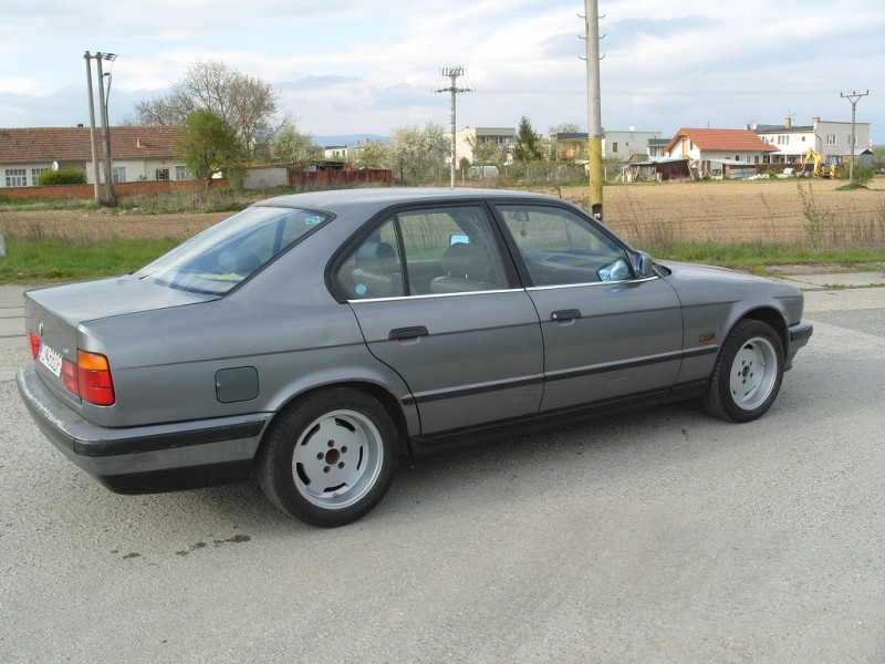 S1050075.JPG