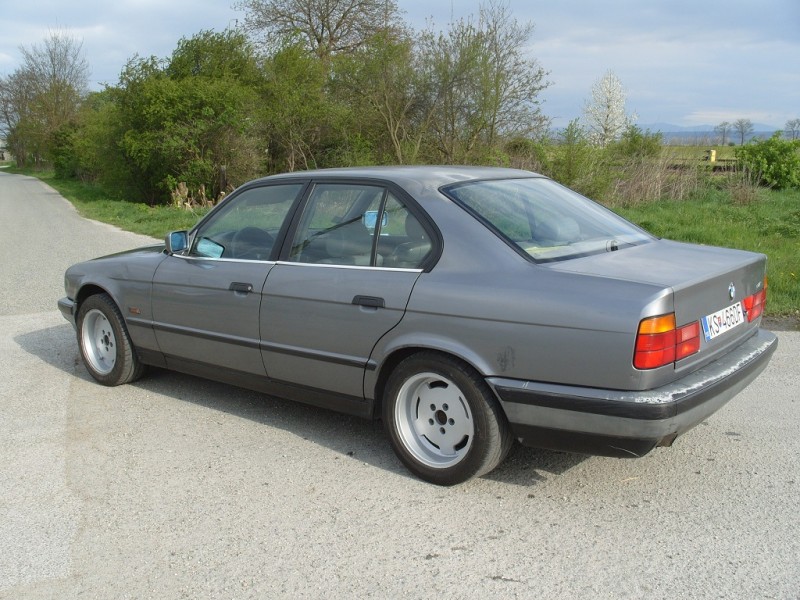 S1050077.JPG
